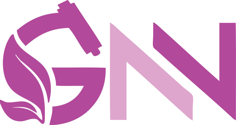 gnn-big