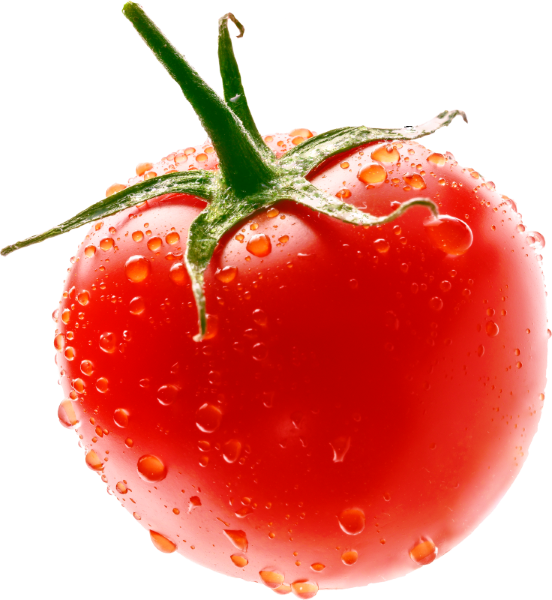 tomato